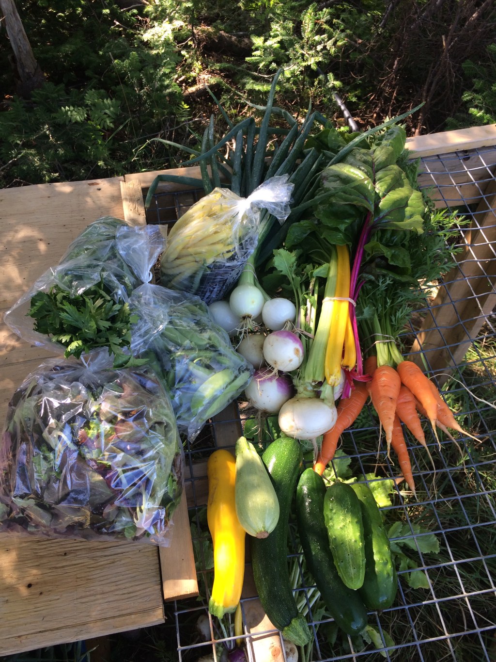 What was in the vegetable shares\bags in&nbsp;2022