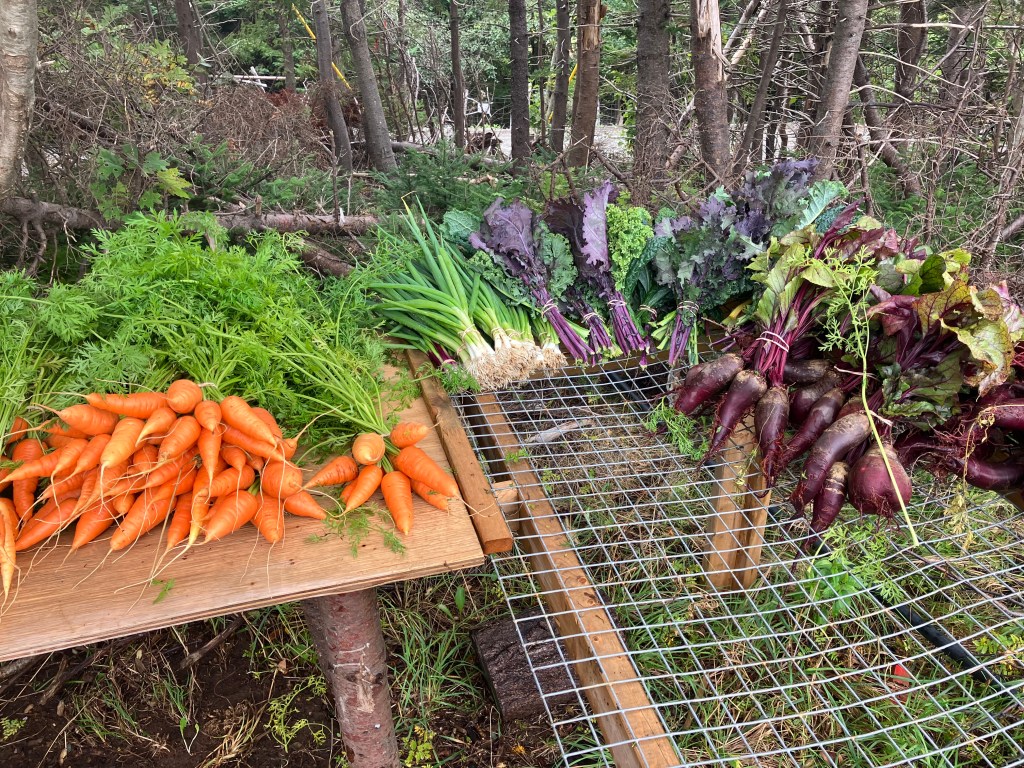 What is in your vegetable share/bag this&nbsp;week