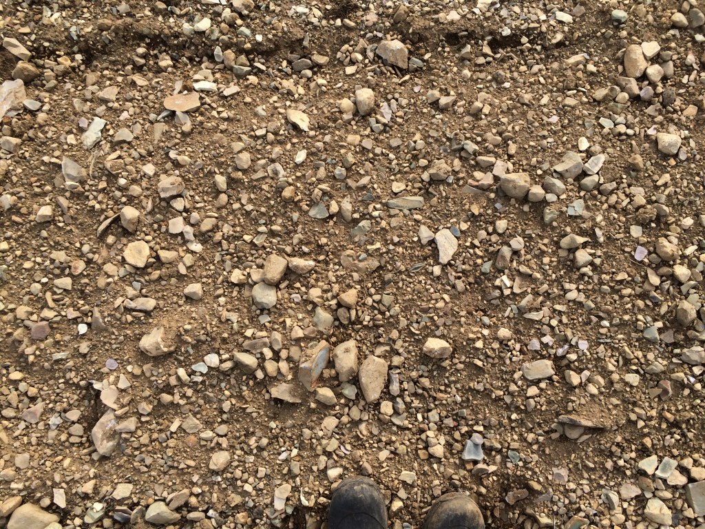 How it all started&nbsp;2022