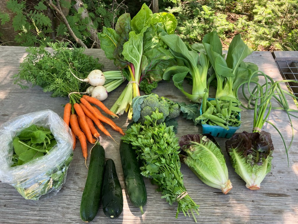 You can now register for your veggie share&nbsp;2024