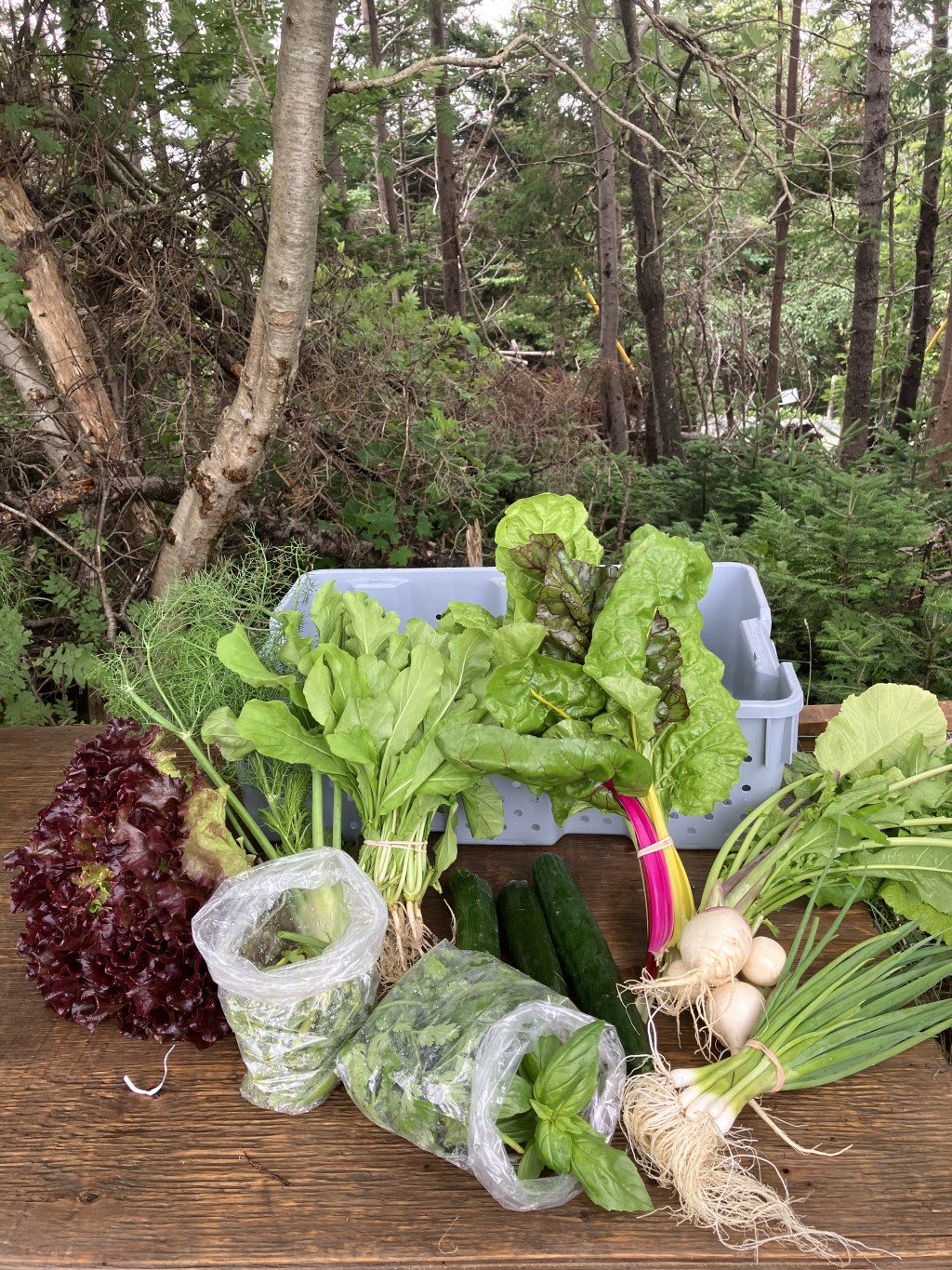 This week’s share (August&nbsp;7)