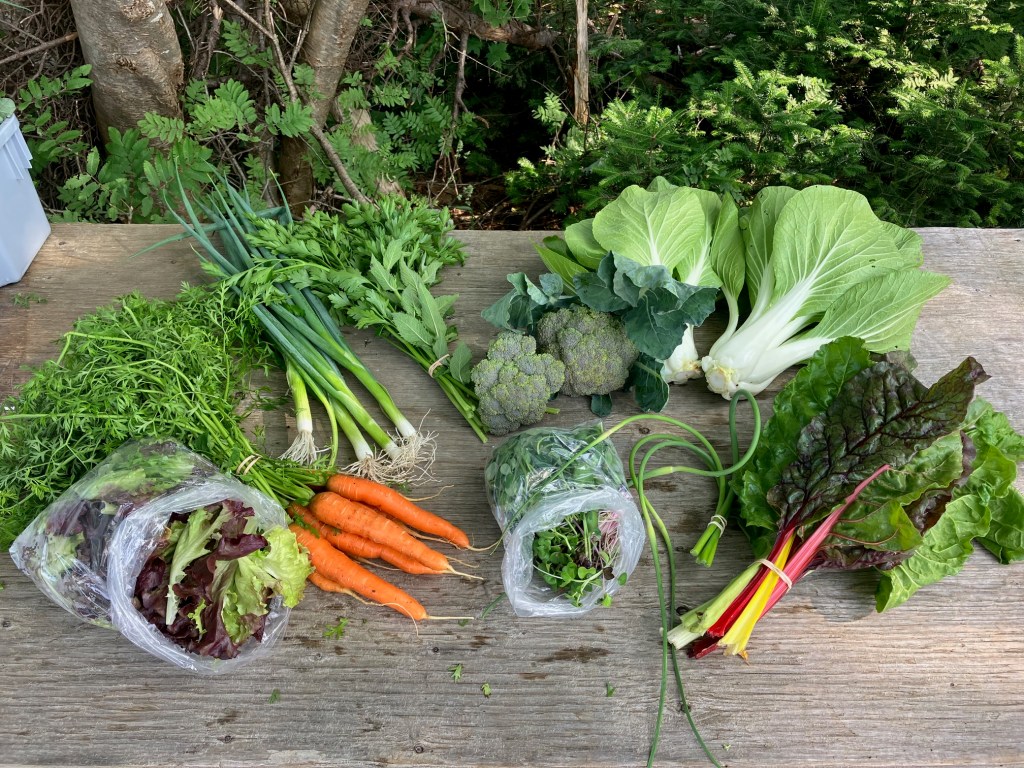 You can now register for your veggie shares 2025