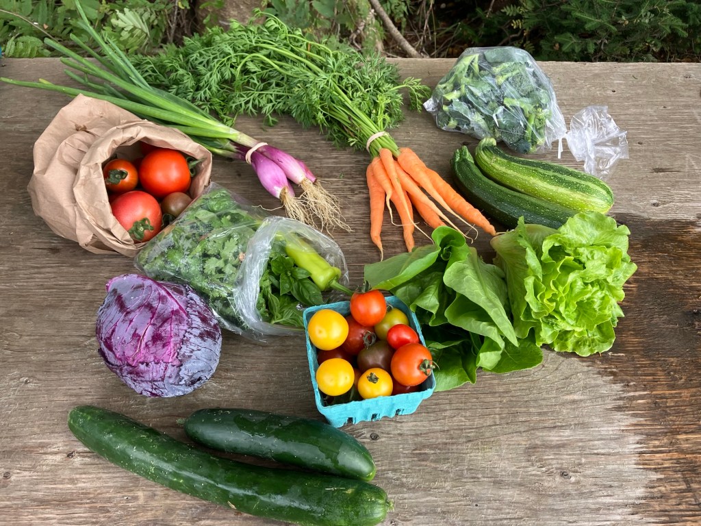 Exemples of CSA shares from&nbsp;2024