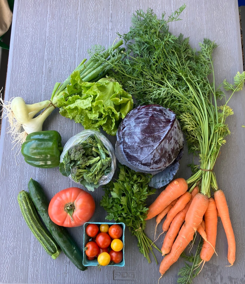 2026 CSA registration now&nbsp;opened